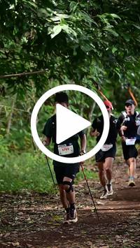 BIB:  <button type="button" onclick="openModal(27289146)" class="btn btn-primary btn-sm float-right" data-toggle="modal" data-target=".modal-high-quality">
                <i class="fa fa-download"></i> Download
                </button>